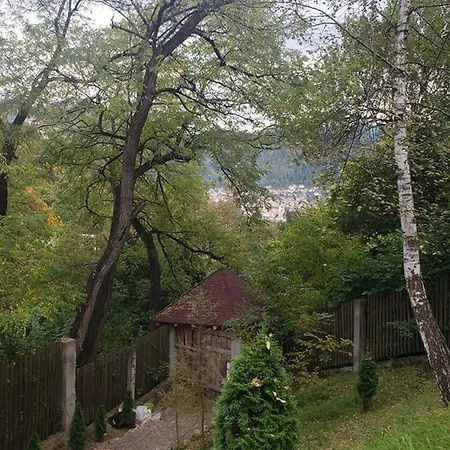 Апартаменти Alexandra's Studio *